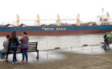 Ingresó el Ocean Exporter a minutos de zarpar el Australian Bulker