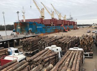 Se realiza una nueva exportación de madera desde el puerto de Concepción del Uruguay