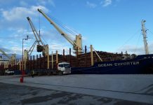 A través de sus puertos, Entre Ríos exportó más de 300.000 toneladas en los últimos seis meses