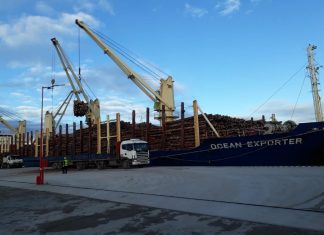 A través de sus puertos, Entre Ríos exportó más de 300.000 toneladas en los últimos seis meses