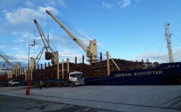 A través de sus puertos, Entre Ríos exportó más de 300.000 toneladas en los últimos seis meses