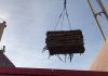 El Eva Bulker carga madera de pino y eucalipto en el puerto local