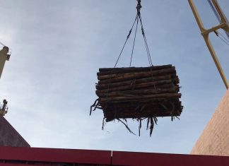 El Eva Bulker carga madera de pino y eucalipto en el puerto local