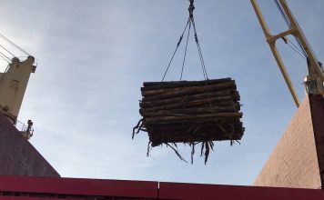 El Eva Bulker carga madera de pino y eucalipto en el puerto local