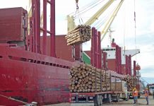 Se inyectan más de 20 millones de dólares en la economía regional