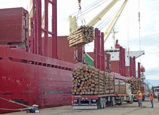 Se inyectan más de 20 millones de dólares en la economía regional