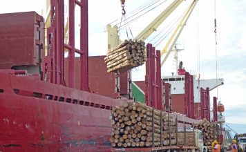 Se inyectan más de 20 millones de dólares en la economía regional