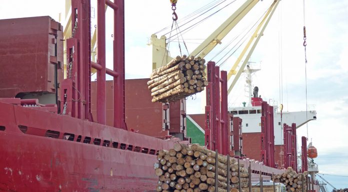 Se inyectan más de 20 millones de dólares en la economía regional