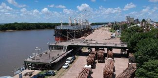 Los puertos ya han generado 815 millones de pesos y más de 1500 puestos de trabajo para los entrerrianos