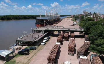 La complementariedad de los puertos entrerrianos motoriza el desarrollo regional