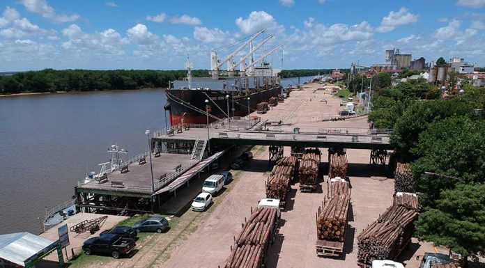 La complementariedad de los puertos entrerrianos motoriza el desarrollo regional