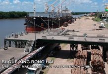 El Xing Rong Hai finaliza su carga de madera en Concepción del Uruguay