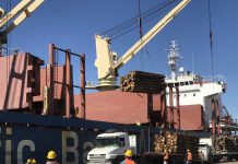 Suman protocolos sanitarios para garantizar la operatoria en los puertos entrerrianos