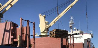 Suman protocolos sanitarios para garantizar la operatoria en los puertos entrerrianos