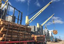 El Rose Harmony carga madera en Concepción del Uruguay