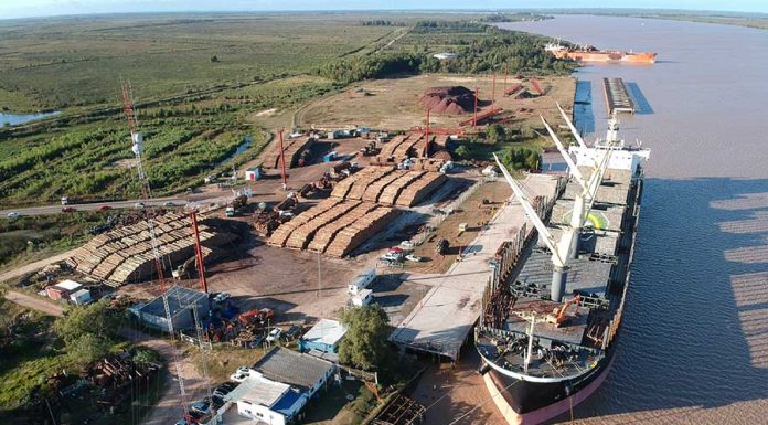 Se completa la carga del Rose Harmony en el puerto de Ibicuy
