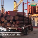 Se concretó un nuevo embarque desde Concepción del Uruguay