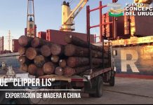 Se concretó un nuevo embarque desde Concepción del Uruguay