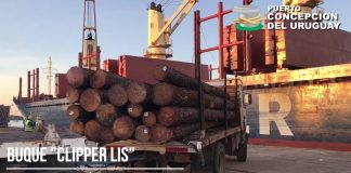 Se concretó un nuevo embarque desde Concepción del Uruguay