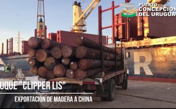 Se concretó un nuevo embarque desde Concepción del Uruguay