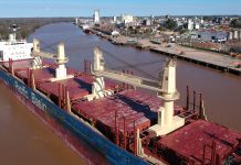 En 18 meses los puertos entrerrianos suman 29 buques con exportaciones al mundo