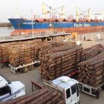 Entre Ríos comenzará a exportar madera a granel a la India y tablas a China