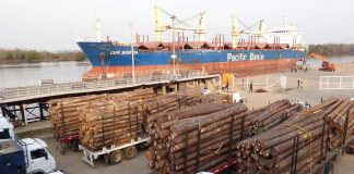 Entre Ríos comenzará a exportar madera a granel a la India y tablas a China