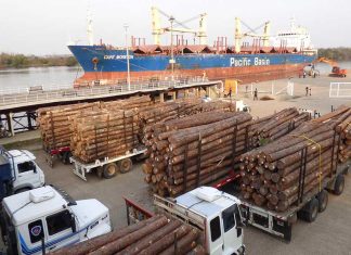 Entre Ríos comenzará a exportar madera a granel a la India y tablas a China