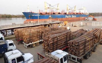 Entre Ríos comenzará a exportar madera a granel a la India y tablas a China