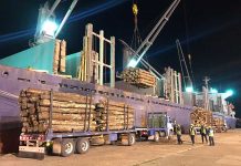 Los puertos entrerrianos completan una nueva exportación de madera