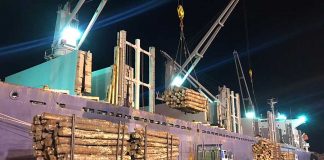 Los puertos entrerrianos completan una nueva exportación de madera