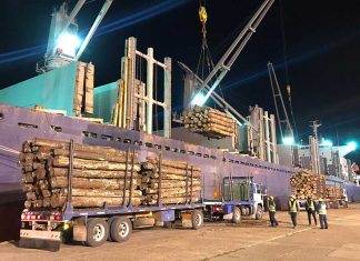 Los puertos entrerrianos completan una nueva exportación de madera