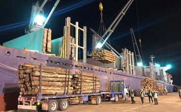 Los puertos entrerrianos completan una nueva exportación de madera