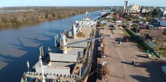 Ingresó el Daiwan Champion y se espera un segundo buque para esta semana