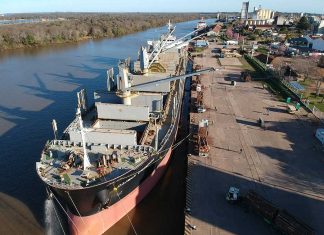 Ingresó el Daiwan Champion y se espera un segundo buque para esta semana