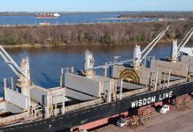 Mientras en el puerto están en plena carga, arribó un segundo buque