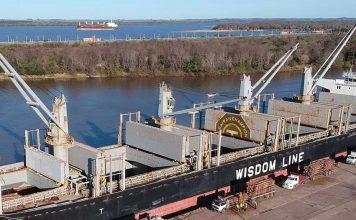 Mientras en el puerto están en plena carga, arribó un segundo buque