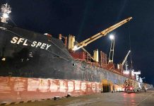 Los puertos de Concepción del Uruguay e Ibicuy están cargando en simultáneo