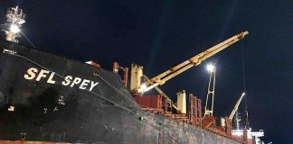 Los puertos de Concepción del Uruguay e Ibicuy están cargando en simultáneo