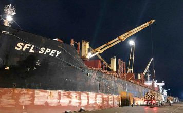 Los puertos de Concepción del Uruguay e Ibicuy están cargando en simultáneo