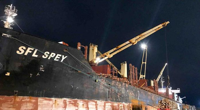 Los puertos de Concepción del Uruguay e Ibicuy están cargando en simultáneo