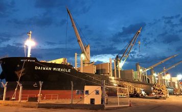 “El puerto es una herramienta de crecimiento para toda la ciudad”