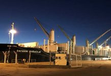 Zarpó el Daiwan Miracle con casi 19.000 toneladas de madera