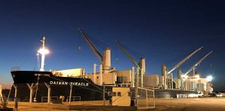 Zarpó el Daiwan Miracle con casi 19.000 toneladas de madera