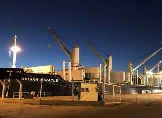 Zarpó el Daiwan Miracle con casi 19.000 toneladas de madera