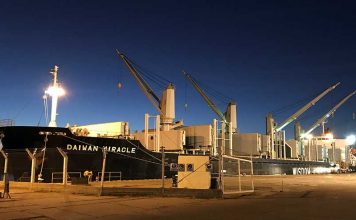 Zarpó el Daiwan Miracle con casi 19.000 toneladas de madera