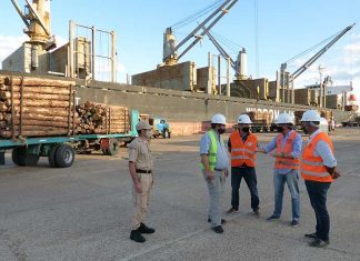 El Ministro Juan José Bahillo visitó el puerto y recorrió la carga de madera a la India