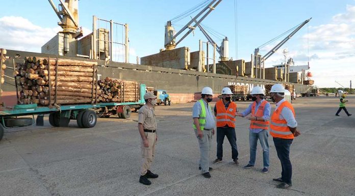 El Ministro Juan José Bahillo visitó el puerto y recorrió la carga de madera a la India