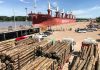 La exportación forestal a través de los puertos entrerrianos ha generado más de 3.000 millones de pesos