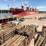 La exportación forestal a través de los puertos entrerrianos ha generado más de 3.000 millones de pesos